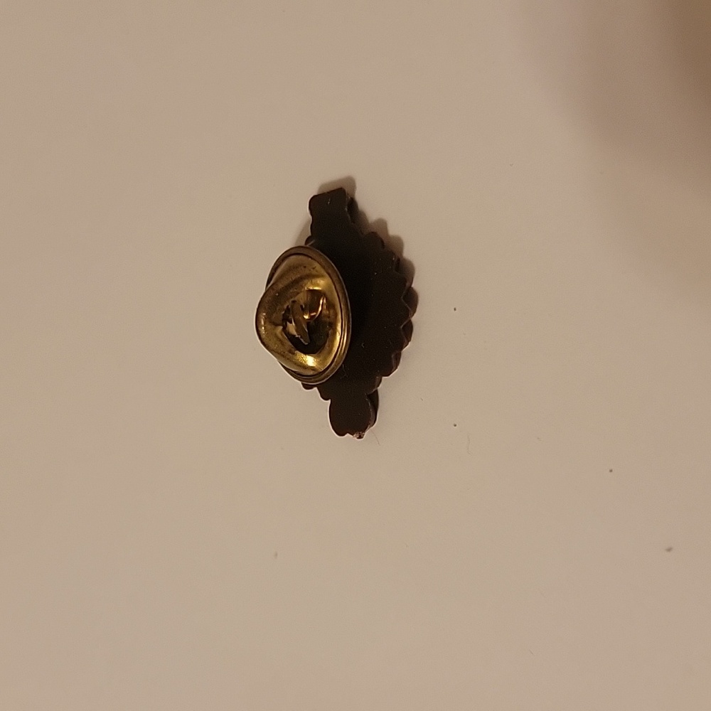 KANSAS PIN - Picture 3 of 3